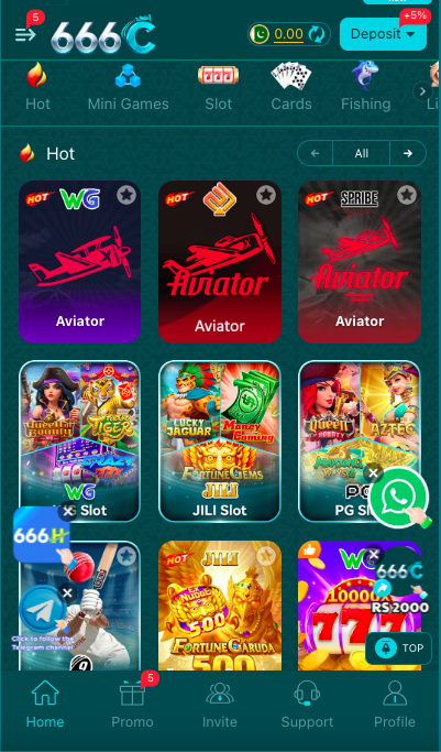666 C Game